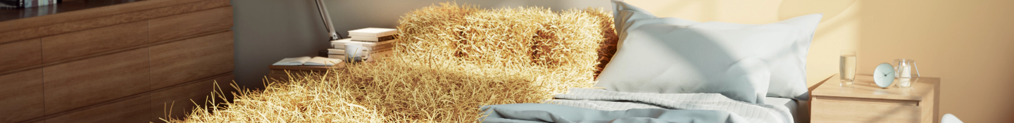 Bannière du site. Lit inconfortable à côté d'un lit confortable